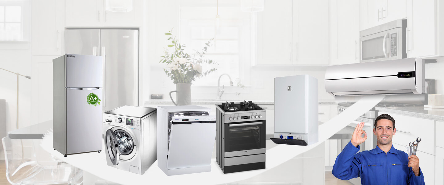 Çamlıdere Electrolux Servisi